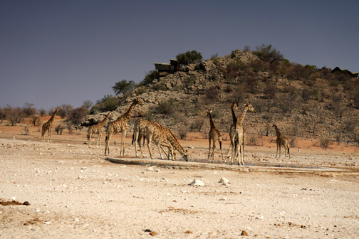 More accommodation in Namibia and Etosha National Park