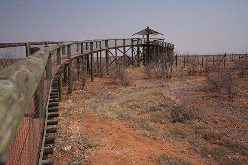 Crossing the fence at Olifantsrus Etosha National Park