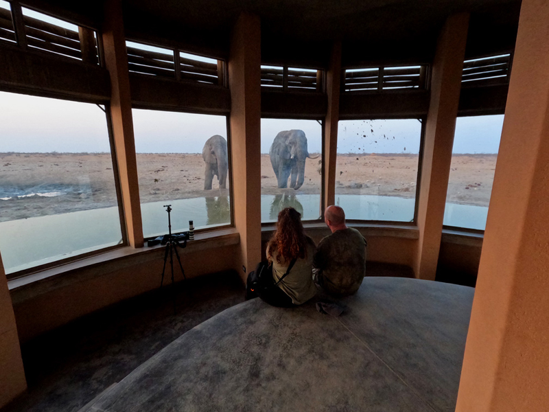 Eye-to-eye with elephants at Olifantsrus Etosha National Park